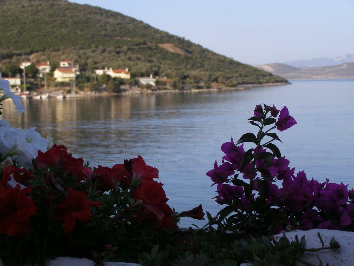 Гостевой дом Meli-Ios Алмиропотамос Экстерьер фото