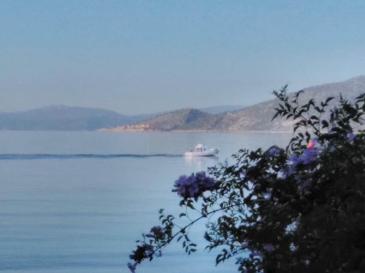 Гостевой дом Meli-Ios Алмиропотамос Экстерьер фото